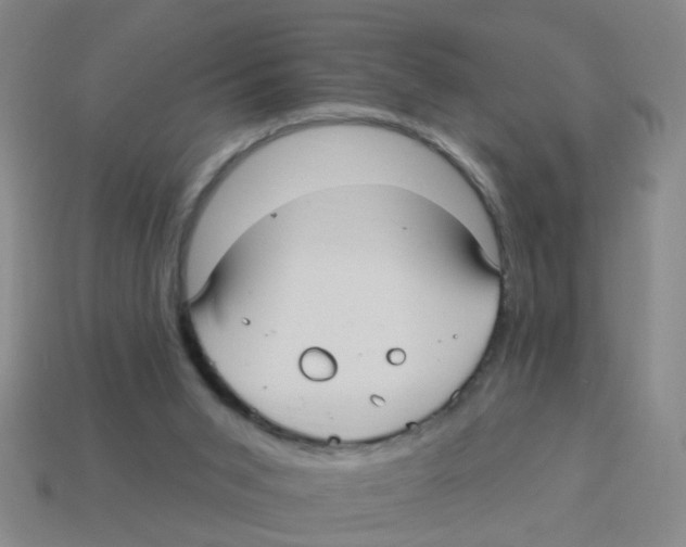 X0000113880015200910221405