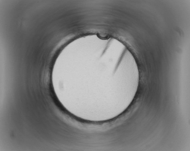 X0000113880016200910221405