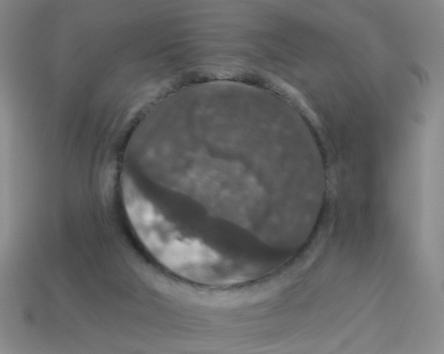 X0000113880018200910221405