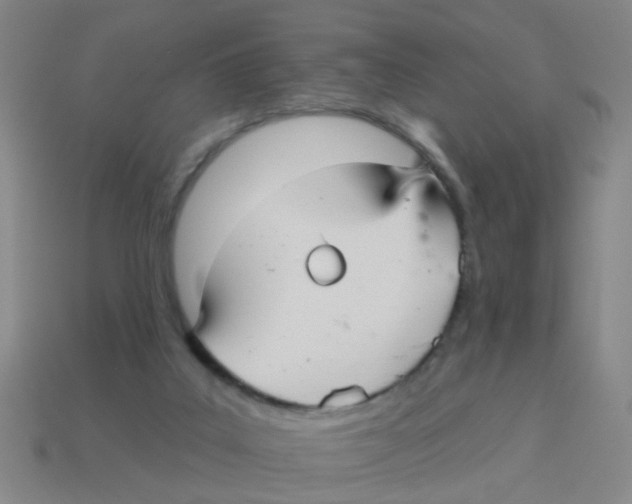 X0000113880019200910221405