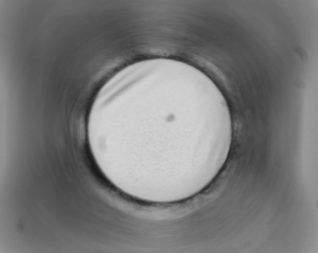 X0000113880020200910221405