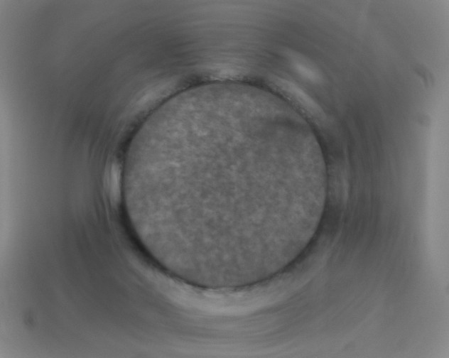 X0000113880022200910221405