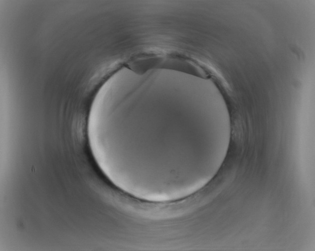 X0000113880023200910221405