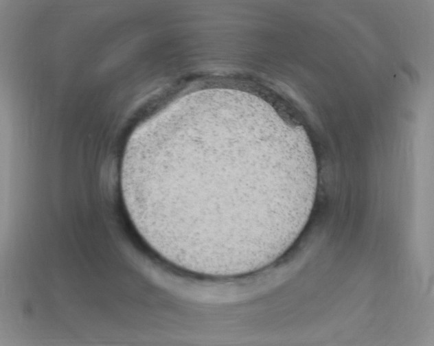 X0000113880024200910221405