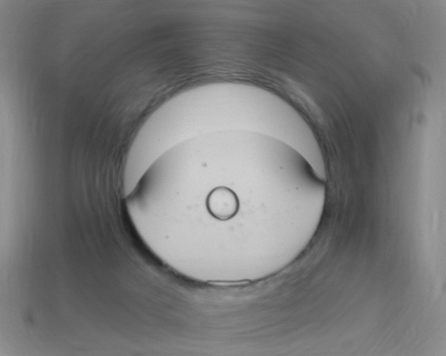 X0000113880025200910221405