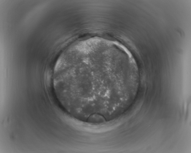 X0000113880026200910221405