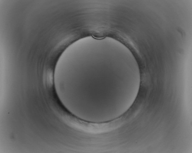 X0000113880027200910221405