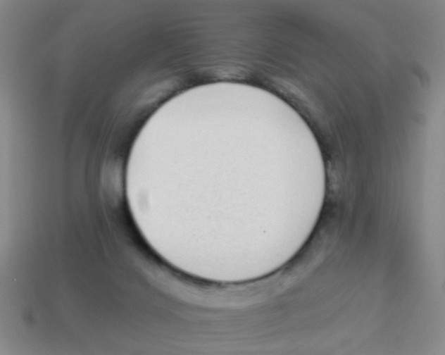 X0000113880028200910221405