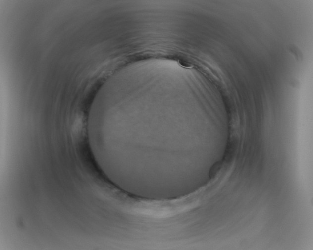 X0000113880029200910221405