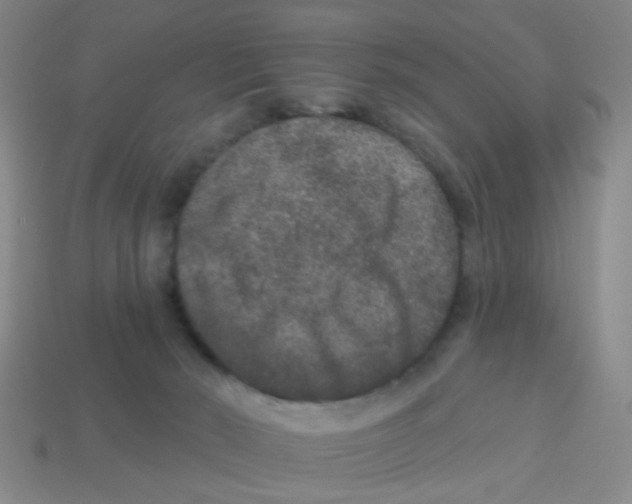 X0000113880030200910221405