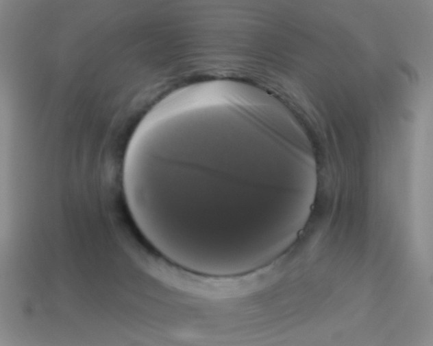 X0000113880031200910221405