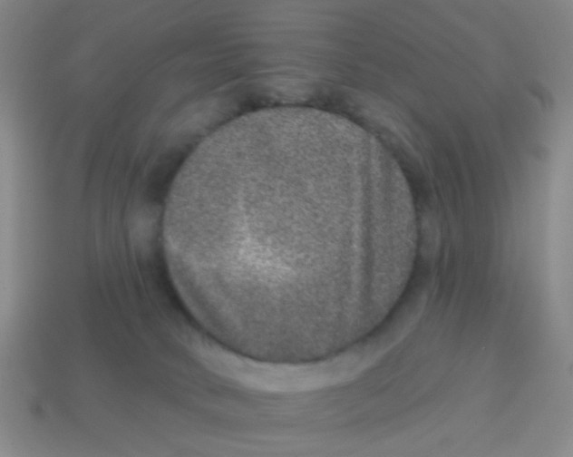 X0000113880034200910221405