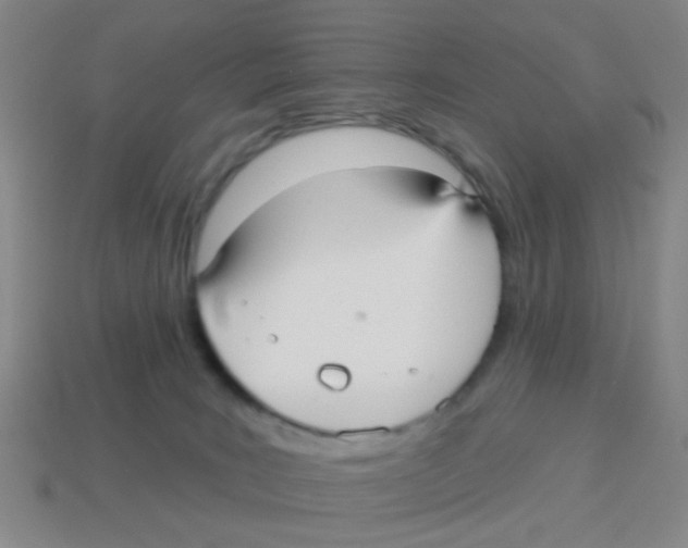 X0000113880035200910221405