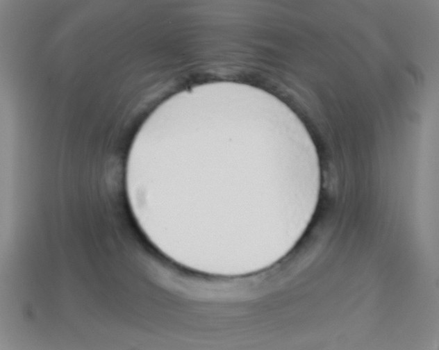X0000113880036200910221405
