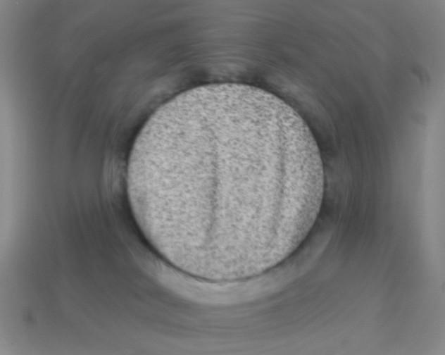 X0000113880038200910221405