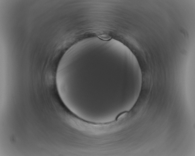 X0000113880039200910221405