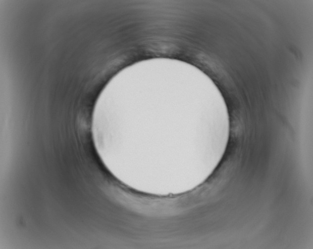 X0000113880040200910221405