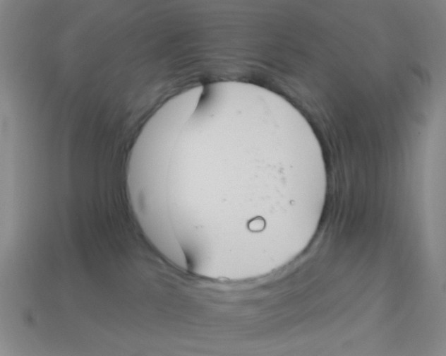 X0000113880041200910221405