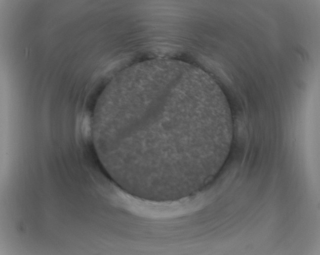 X0000113880042200910221405