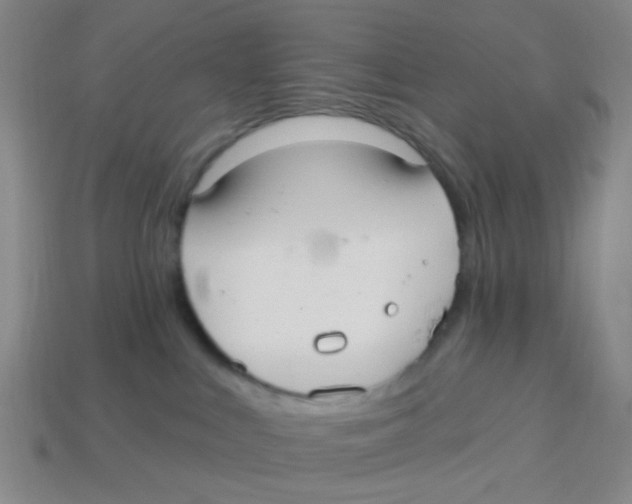 X0000113880043200910221405