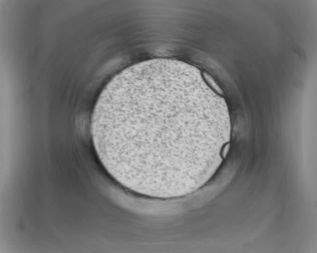 X0000113880044200910221405