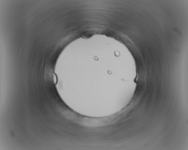 X0000113880045200910221405