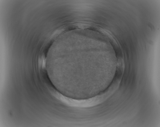X0000113880046200910221405