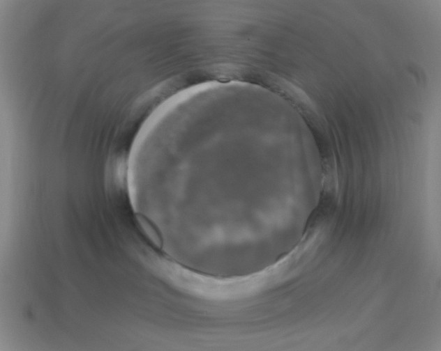 X0000113880047200910221405