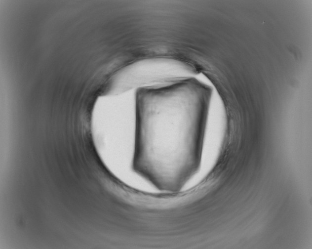 X0000113880048200910221405