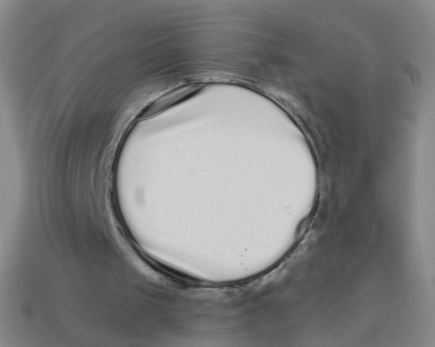 X0000113880049200910221404