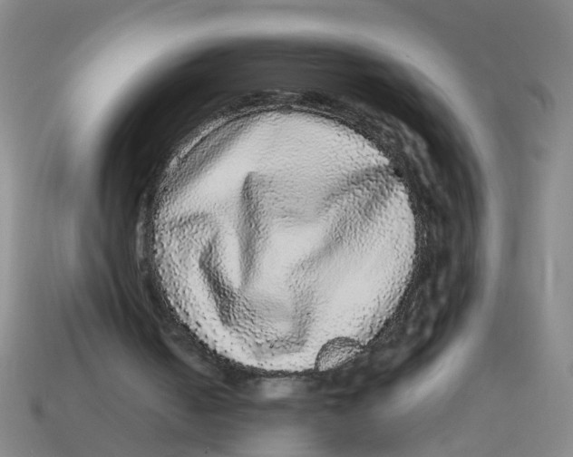 X0000113880050200910221404