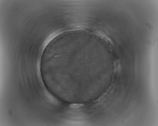 X0000113880051200910221404