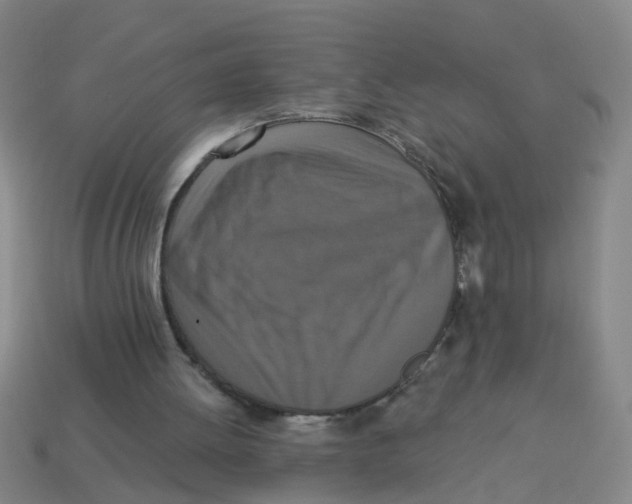 X0000113880052200910221404