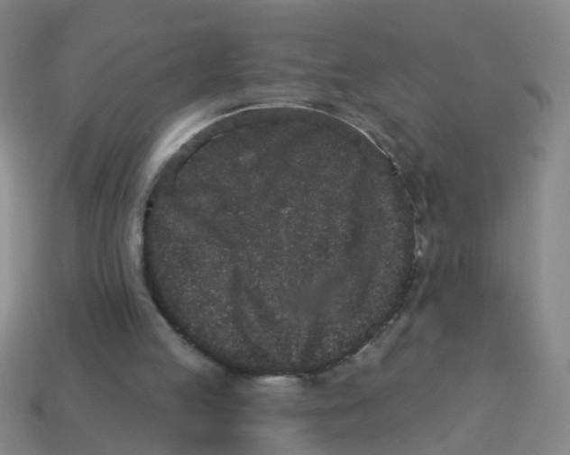 X0000113880053200910221404