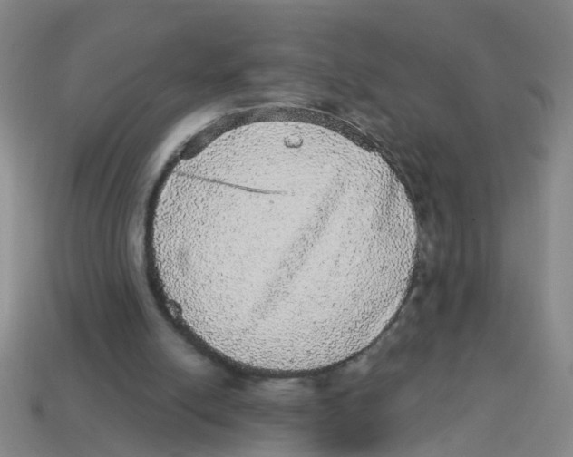 X0000113880054200910221404