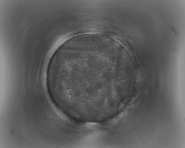 X0000113880055200910221404