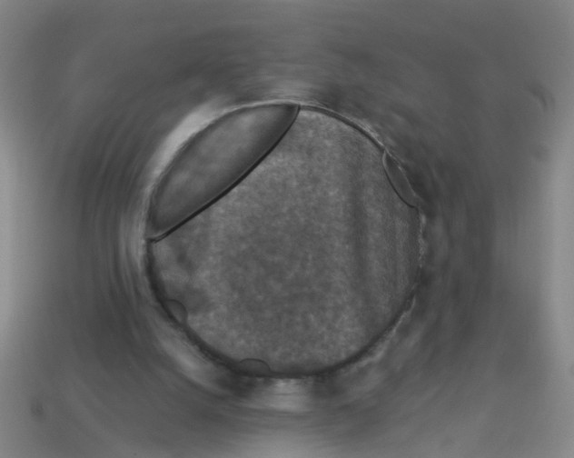 X0000113880056200910221404