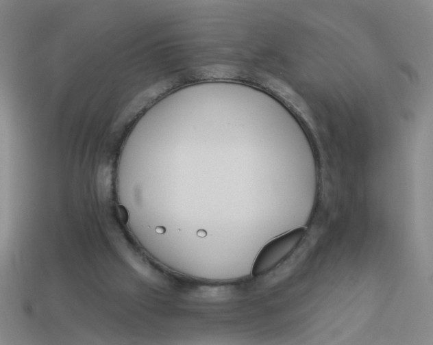 X0000113880057200910221404