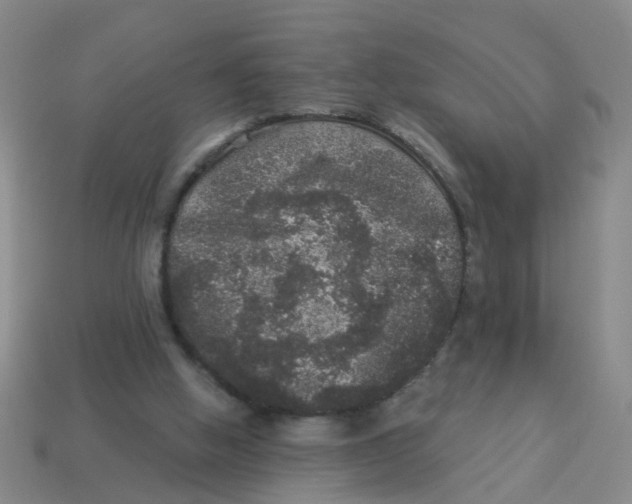 X0000113880058200910221404