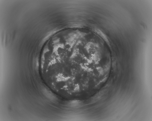 X0000113880059200910221404