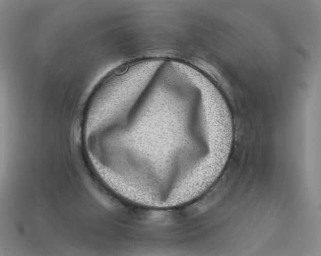 X0000113880060200910221404