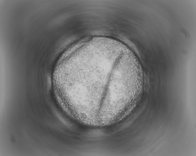 X0000113880061200910221404
