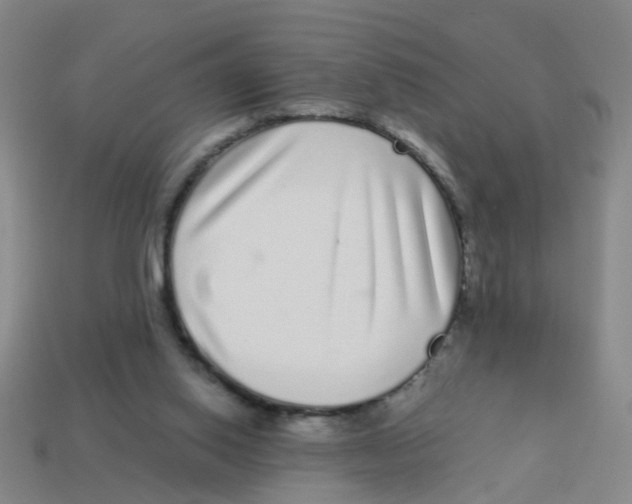 X0000113880062200910221404