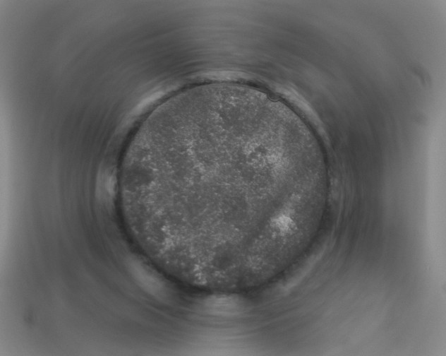 X0000113880063200910221404