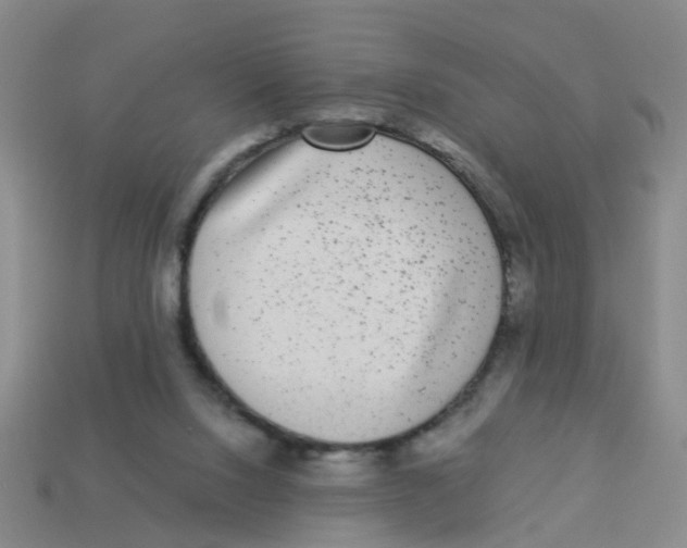 X0000113880064200910221404
