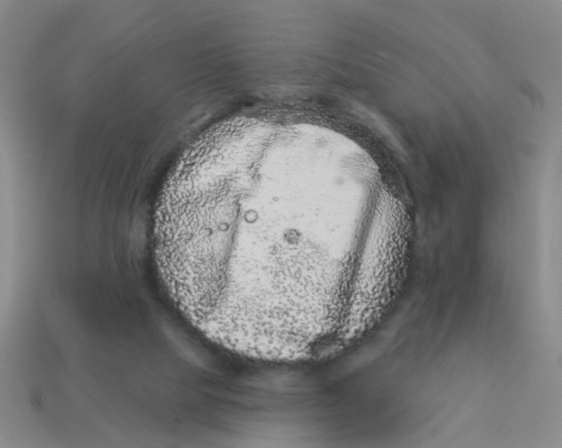 X0000113880065200910221405
