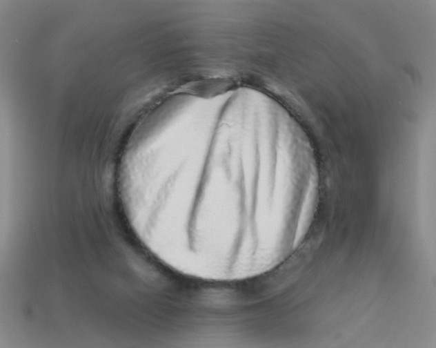 X0000113880066200910221405