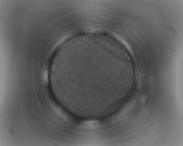 X0000113880067200910221405