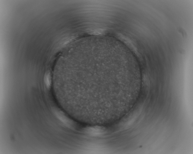 X0000113880069200910221405