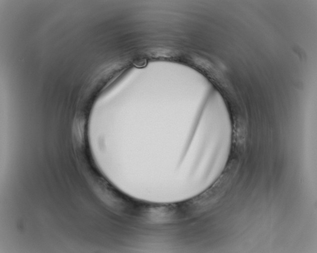X0000113880070200910221405